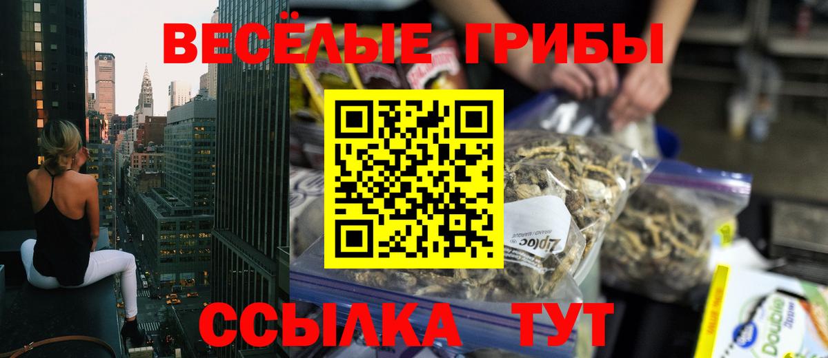 Галлюциногенные грибы GOLDEN TEACHER Троицк