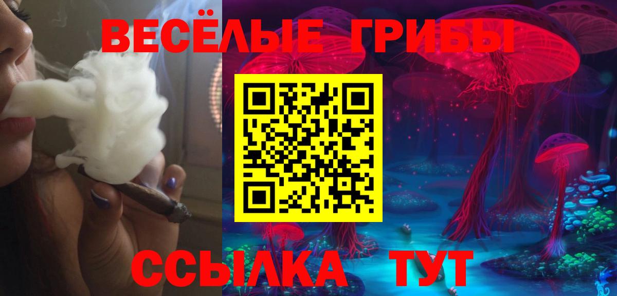 Галлюциногенные грибы GOLDEN TEACHER  Псилоцибиновые грибы прущие грибы  Троицк  Вход с VPN 